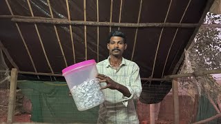 Neelima Farm's Narasimha Naidu is live