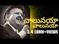 nee krupa naku chalunaya | Telugu Christian song | SP Balasubrahmanyam |