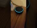 Asking Alexa when the Zombie Apocalypse will start