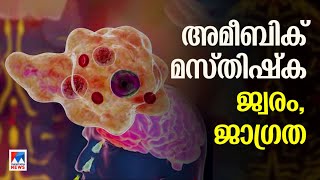 അമീബിക് മസ്തിഷ്ക ജ്വരം; കേരളത്തില്‍ രോഗികള്‍ കൂടുന്നു; കാരണമറിയാം | Amoebic brain abscess