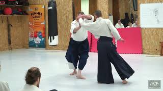 Aikido: Stephane Goffin Budapest 2024