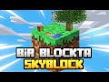 1 BLOKTA SKYBLOCK / Sınırsız Kaynaklı Skyblock