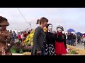 agroexpo 2016. Международная агропромышленная выставка.