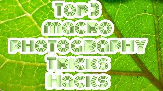 Top 3 macro photography tips and tricks!Realme X2 camera test!Ashik The Jellyfish
