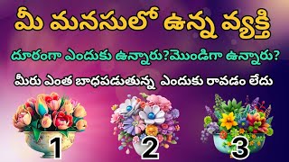 మీమనసులో ఉన్న వ్యక్తి ఎందుకు దూరంగా ఉన్నారు?మొండిగా ఉన్నారు?ఎంత బాధపడుతున్న పట్టించుకోవడంలేదు ఎందుకు