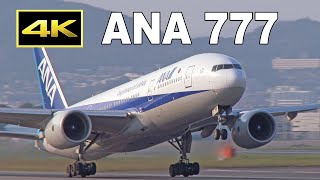 ANA ボーイング777 国内線で運航を再開 / ANA resumes Boeing 777 domestic flights