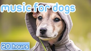 [NO ADS] Music for Dogs: Fast-Acting Dog Relaxation Therapy Sounds!