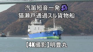 汽笛短音一発🎶猫瀬戸通過スル貨物船【4K撮影】明豊丸