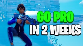 How to GO PRO in Under 2 Weeks (Chapter 5 Season 2)