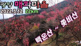 [2022.3.12] 20%개화한 백/청매화, 100%개화한 홍매화, 매화마을에서의 추억 (진틀마을~신선대~백운산~매봉~쫓비산~청매실농원)