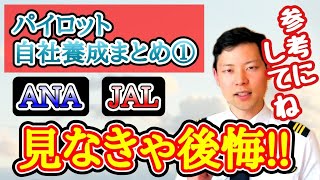 【就活】ANA/JAL 自社養成パイロット試験の質疑応答まとめ①【MichaelAir/切り抜き】