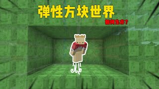 MC我的世界：来到弹性方块世界，我该如何生存？【渣渣辉TD】