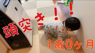 突然の頭突きw１歳０ヶ月の赤ちゃん