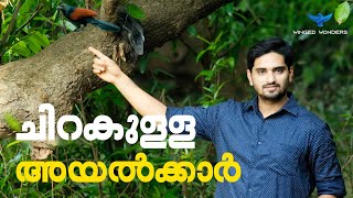 ചിറകുള്ള അയൽക്കാർ | #birds |WINGED WONDERS| ANU JOHN|  BRAHMINY KITE