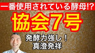 一番使われてる酵母!?【協会7号とは？】@masamoriyamamoto