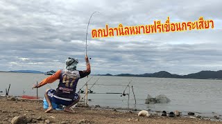 Ep.79 ฝ่าดงกุ้ง ตกปลานิลเขื่อนกระเสียว หมายฟรี ครั้งแรก หมายนี้ปลาเข้าดีตอนกลางคืน ผลงานเกินคาด