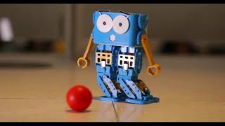 Marty : the programmable walking, dancing robot for kids
