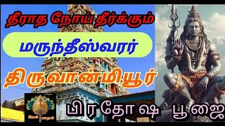 திருவான்மியூர் மருந்தீஸ்வரர் கோயில் பிரதோஷ பூஜை💥🔥#lordshiva #omnamahshivaya #pradhosham #viralvideo