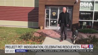 President-elect Joe Biden's dog Major honored with his own 'inDOGuration'