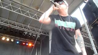 Stray From The Path - Landmines/Bring It Back To The Streets (Live at Amnesia Rockfest)