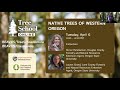 Tree School Online : Native Trees of Western Oregon