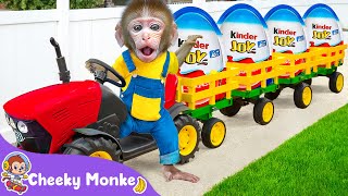 Monkey Baby Cheeky goes to the supermarket to buy kitchen utensils and garden egg harvesting