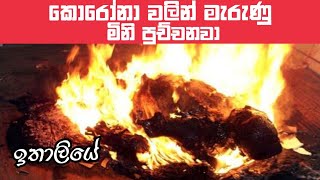 කොරෝනා හැදිලා මැරුණොත් මිනිය පුච්චනවා😮