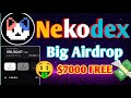 nekodex network airdrop free | nekodex network airdrop | nekodex network