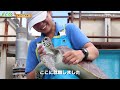 【水族館飼育員】国営沖縄記念公園 海洋博公園 【夢を叶えた卒業生】