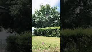 Great spot