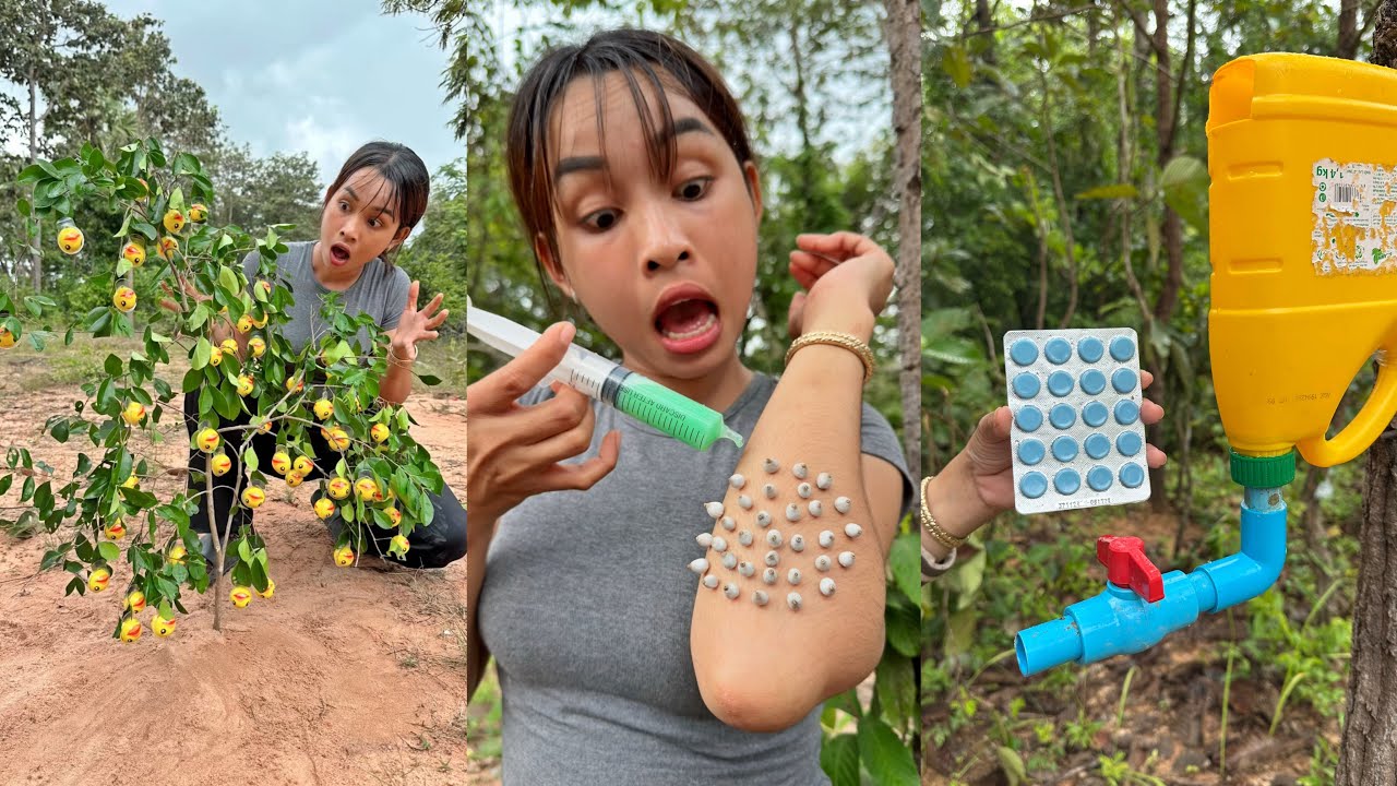 Part 47 Survival Skills Smart Ideas And Useful In The Forest