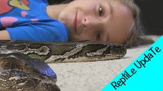 Reptile Collection (PT-2) : THE SNAKE GIRL! Krista Guarino