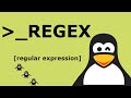 All you need to know about REGEX(Regular Expression). Linux. Practical. part 1