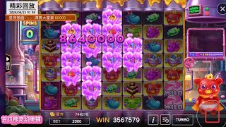 星城爆赌2000-甘贝熊奇幻果铺|in 34free spins|epicwin😱恭喜获胜者❤️24.06.22