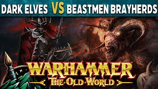 Dark Elves vs Beastmen Brayherds Warhammer The Old World Battle Report