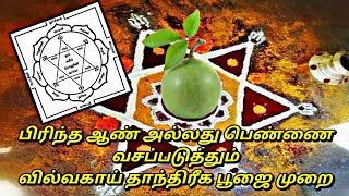 வசியம் செய்யும் வில்வகாய் தாந்திரீக பூஜை முறை | vasiyam | Thantrigam | Tantra | mantra | vasiya mai