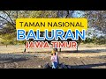 MAMPIR KE TAMAN BALURAN JAWA TIMUR