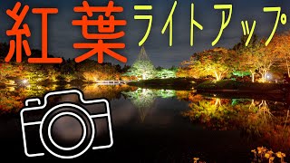 東京の絶景スポットをお写んぽ【紅葉ライトアップ】撮り方のコツも！