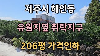 제주시 해안동 무수천 유원지옆 마을안 취락지구 206평 가격인하 급매물 바다경관