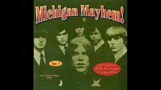 Various – Michigan Mayhem! Vol 1 : 60's Rare Garage Rock Gems, Psychedelic Fuzz Beat R&b Music ALBUM