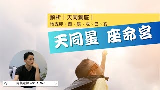 大家都是朋友👭🧑‍🤝‍🧑  感性always戰勝理性的天同｜天同星全解｜星象獨座｜字幕版