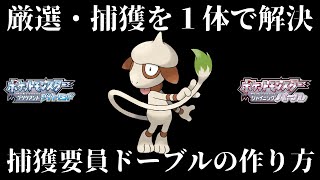 【ダイパリメイク】厳選・捕獲のめんどくさいが１体で全て解決！最強の厳選捕獲要員ドーブルの入手方法と育成方法！【ダイヤモンドパール】