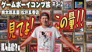 【GB#3-2】やってくれたな！こんなに買ったけど大満足の購入品紹介！【レトロゲー巡り】【ゲームボーイコンプ旅】