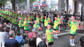 若松小学校よさこい同好会（2014よさこいin府中・大國魂神社ステージ会場）