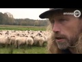 zorgen traditionele schaapherders om herdersopleiding velp