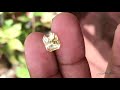 natural unheated yellow sapphire 4.10ct