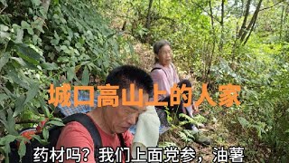 在城口的大山深处，还有几户人家在哪里，那里不通公路