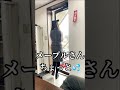 鬼滅の刃　禰豆子似のolさんにいろいろお願いしてみた。　猫耳　　群馬県高崎市イソベモータース　 shorts