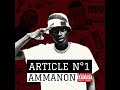 AMANNON : ARTICLE N°1