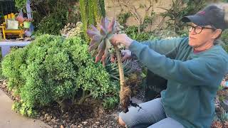 Reworking my Fred Ives